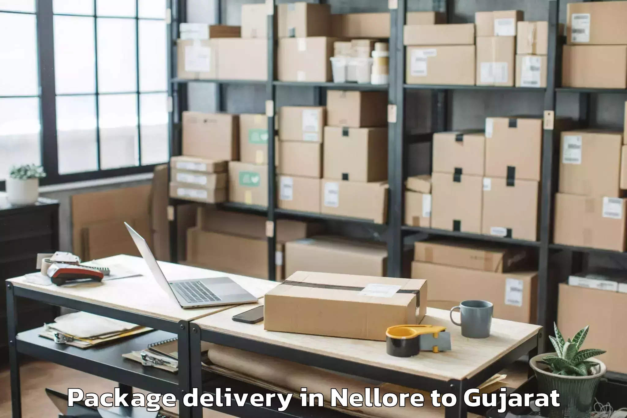 Trusted Nellore to Kamdhenu University Gandhinaga Package Delivery